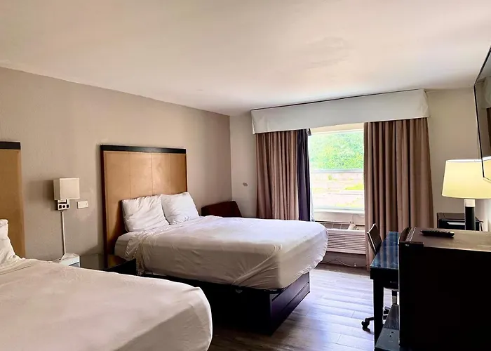 Hotel Of By O Carbondale