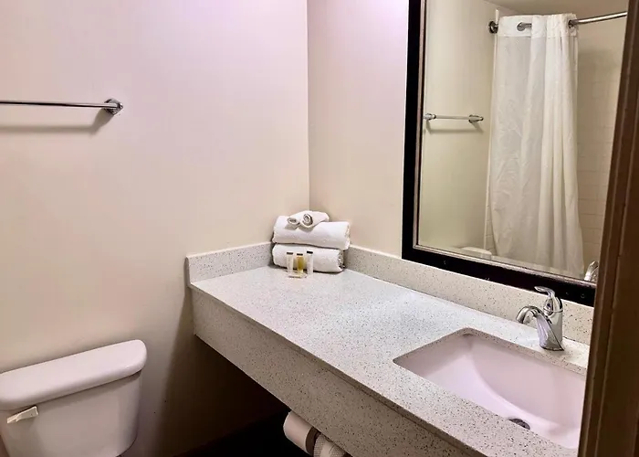 Of By O Carbondale
