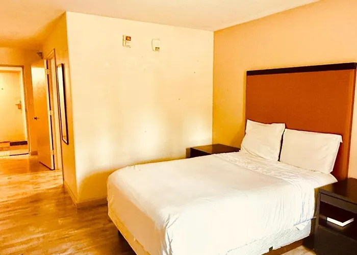 Hotel Of By O Carbondale