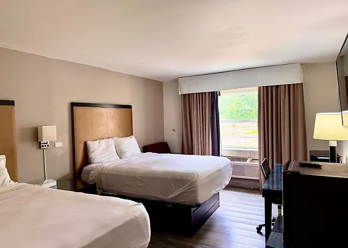 Of By O Hotel Carbondale